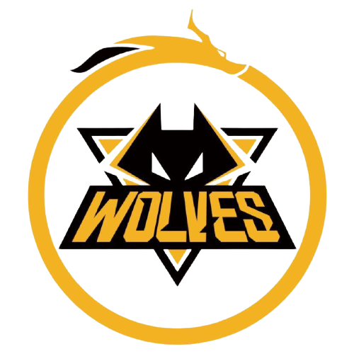 执行力和球 执行力和球